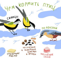 Столовая для птиц Столовая для птиц.